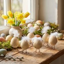 Product Chick in the eggshell white, cream 6cm 6pcs