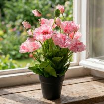 Product Oriental poppy, artificial flower, poppy in pink pot