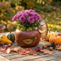 Product Planter, apple with hedgehog, autumn decoration, cachepot, ceramic Ø16cm H22cm W33cm
