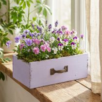 Product Planter Decorative Drawer Shabby Chic Wood Purple 25×13×8cm