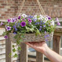 Product Hanging basket, planter, woven plant pot, natural colors, white washed, L43.5cm