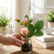 Product Rose in a glass Rosa H23cm