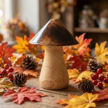 Product Decorative mushroom wooden mushroom natural brown gloss effect Ø7.5cm H10cm