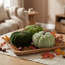Product Decorative pumpkin autumn green dark green light green Ø18cm 3 pcs