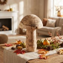 Product Large wooden mushroom decoration mushroom wood Paulownia Ø21cm H33cm