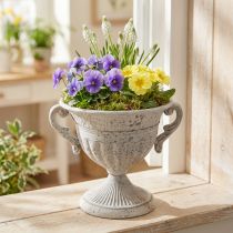 Product Antique trophy with handles metal decoration vintage grey white H18cm