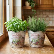 Product Herb pot flower pot plastic Fresh Garden H13.5cm 2pcs