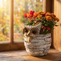 Product Owl for planting white 23cm