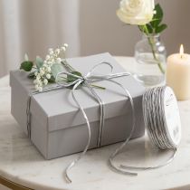 Product Paper cord silver without wire Ø3mm 40m