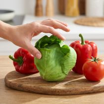 Product Iceberg lettuce Artificially Real-Touch Ø12cm