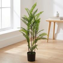Product Fern in pot green 80cm
