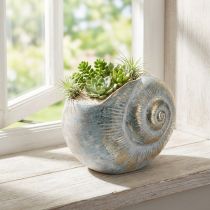Product Decorative snail-shaped container for maritime and natural wall design, grey, 21cm