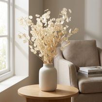 Product Lunaria Dried Money Plant Dried Flowers Natural 90cm 100g