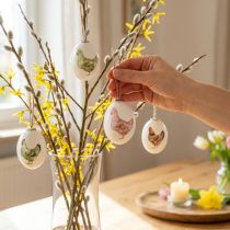 Product Easter Eggs Plastic with Chicken Green Brown 3.5-5.5cm 24 pcs