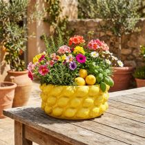 Product Planter lemon ceramic bowl planter yellow Ø26cm H12cm