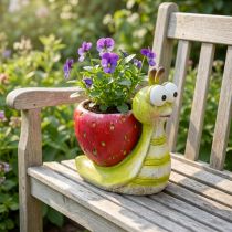 Product Decorative snail flowerpot strawberry ceramic green red 15.5cm