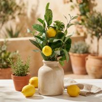 Product Decorative branches, artificial lemons and olives, 50cm, Mediterranean vase, summer decoration