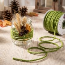 Product Wick thread wool cord felt cord moss green 3mm 100m