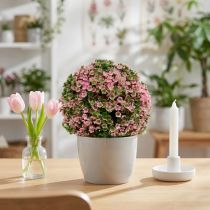 Product Decorative Ball Pink Green Ball Plant Ø15cm 1 pc