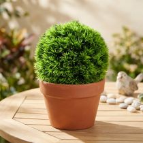 Product Grass Ball Decorative Ball Green Artificial Plants Round Ø18cm 1 pc