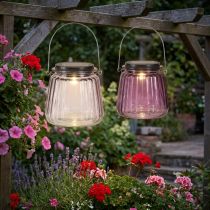 Product LED Garden Light Glass Solar for Hanging Purple Ø10.5cm 2pcs
