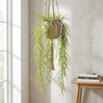 Product Succulent hanging green 145cm
