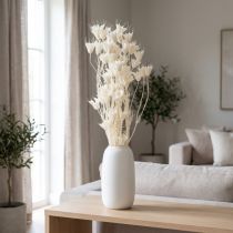 Product Dried Nigella flowers, bunch of elegant natural decoration for exclusive interiors, 70cm, 50g