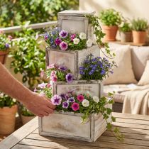 Product Planter wooden drawer antique look cream 24/20/16/12cm set of 4