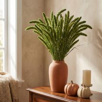 Product Dried flowers, Setaria Pumila, bristle millet green 75cm 200g