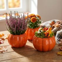 Product Planter ceramic pumpkin plant pot orange Ø9.5cm H6.5cm 4 pcs