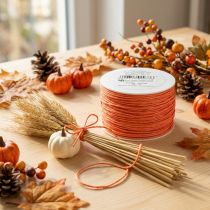 Product Paper cord wire wrapped Ø2mm 100m Orange