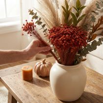 Product Dried Glixia Flower Bunch 44 cm Red and Natural for Vases and Arrangements
