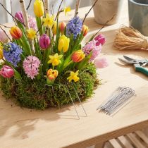 Product Patent-applied 17/80 2.5kg plant needles for fixing in floral arrangements