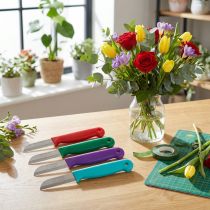 Product Florist knife 15cm 10 pcs – random color