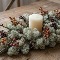 Product Grey Dried Dyed Moss for Floristry and Crafts, 500 g