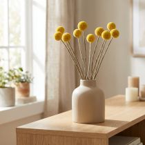 Product Yellow Dried Craspedia Flowers, 70 cm, Approx. 10 Stems