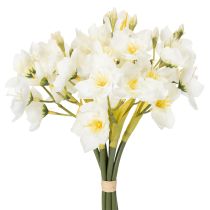 Product Daffodil branch for seasonal wedding arrangements, beautiful, 33cm, 6 pieces