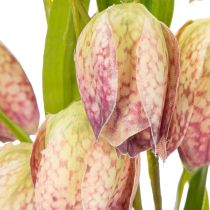 Product Artificial fritillary flower, delicate decoration for living spaces, 60cm, 3 pieces