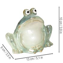 Product Ceramic frog decorative figurine, detailed design, charming gift idea, 13cm