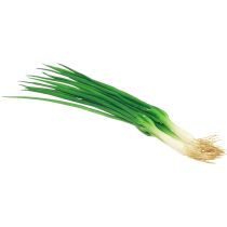 Spring onions artificial Real-Touch 30cm 4pcs
