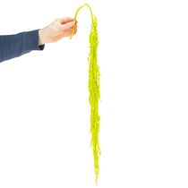 Product Foxtail dried flowers, dyed, for special home decor and unique accents, 100cm, 5 pieces