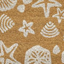 Product Doormat Shells Starfish Doormat Coconut 58×38cm