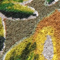 Product Doormat Lemon Coconut Mat Doormat Coconut 40×60cm