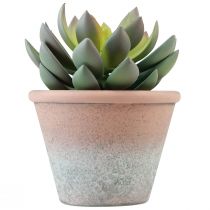 Product Succulent plant in pot Echeveria artificial green vintage Ø15cm H16cm