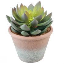 Product Succulent plant in pot Echeveria artificial green vintage Ø15cm H16cm