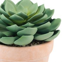 Product Succulent plant in pot Echeveria artificial green Ø15cm