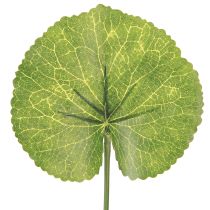 Product Galax Urceolata Leaves Artificial Green Ø10cm L23cm 12 pcs