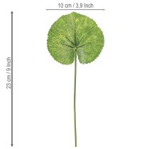 Product Galax Urceolata Leaves Artificial Green Ø10cm L23cm 12 pcs
