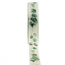 Product Gift ribbon eucalyptus decorative ribbon green 25mm 20m