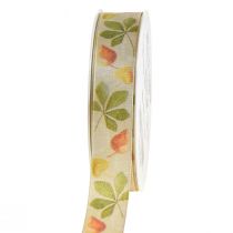 Product Gift ribbon green autumn leaves deco ribbon autumn 25mm 20m